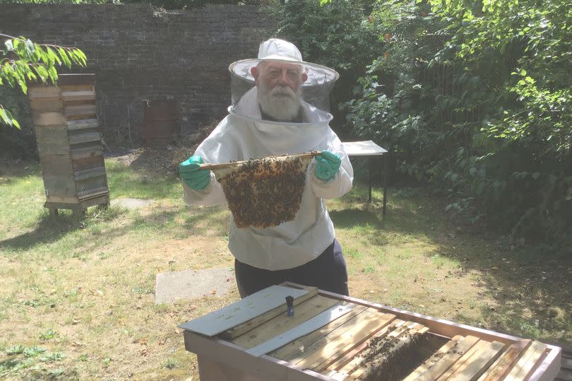 Mitchison’s hive was vandalised at Litten Nature Reserve in Greenford. (Reach)