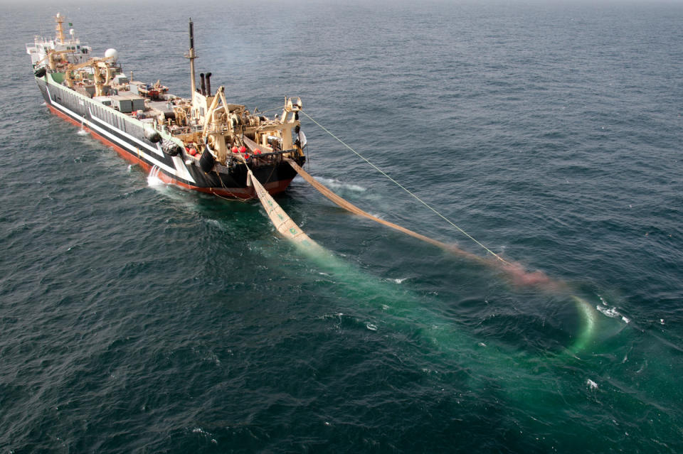 底拖網漁船對海洋生態極具破壞力，卻也是商業捕魚常見的漁法，不僅容易誤捕非目標物種，更會造成破壞海床、過度捕撈等問題。