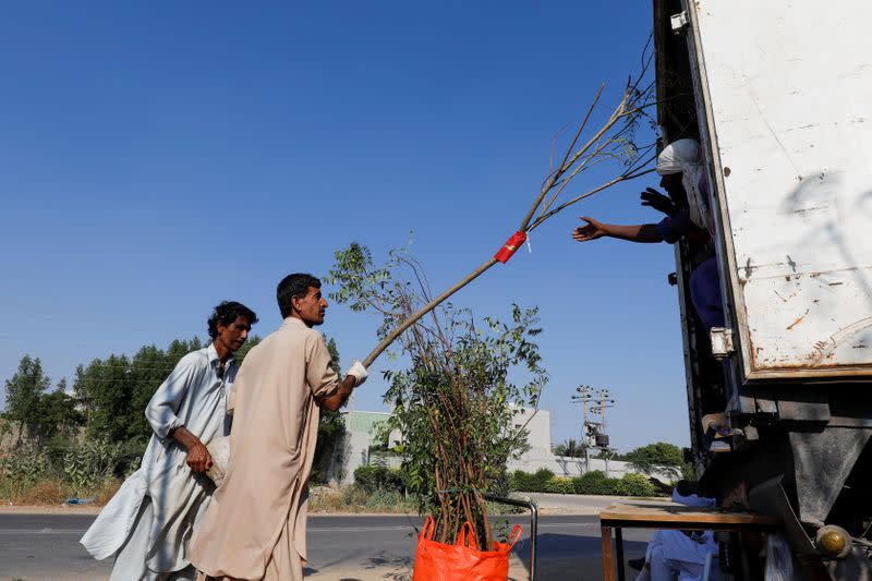 Labourers load a truck with trees and plants to be transported for planting along the pilgrimage route between Iraqi Shi'ite Muslim holy city of Najaf and Karbala, at a farm on the outskirts of Karachi