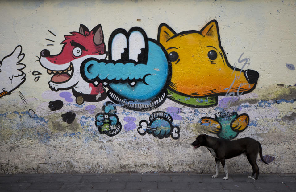 A dog stands beside street graffiti in Xochimilco, on the southern edge of Mexico City, Wednesday, May 7, 2014. In Xochimilco, busy markets stand side by side with colonial churches, and children ride to school in boats pushed by poles, along a network of canals and floating gardens that date to pre-hispanic times. The popular tourist destination was declared a UNESCO world heritage site in 1987. (AP Photo/Rebecca Blackwell)