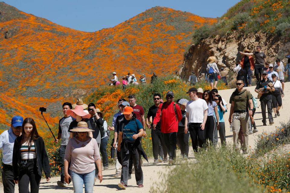 People walk among wildflowers in bloom on March 18, 2019, in Lake Elsinore, Calif.