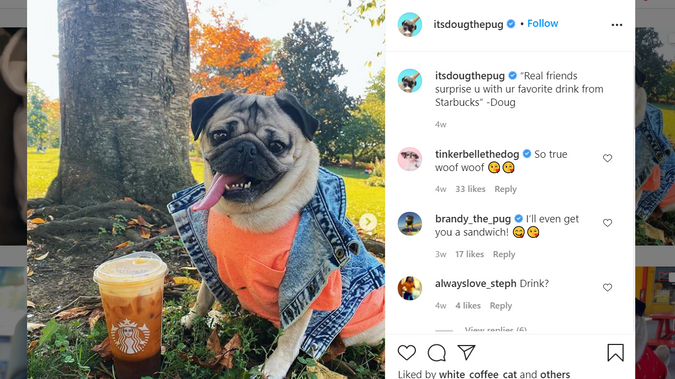 Doug The Pug (@itsdougthepug) Instagram