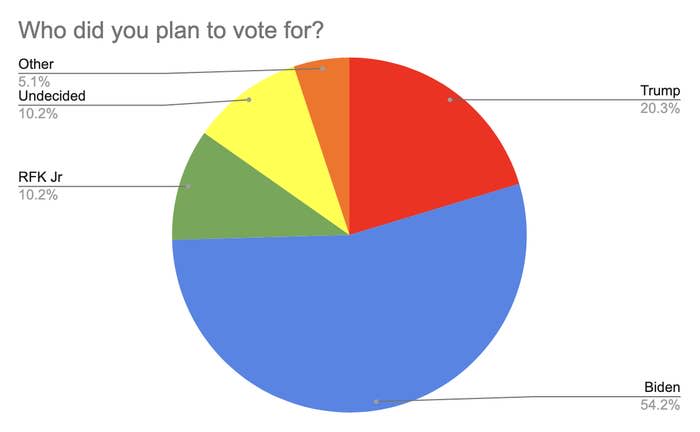 Pie chart showing voter plans: Biden 54.2%, Trump 20.3%, RFK Jr 10.2%, Undecided 10.2%, Other 5.1%