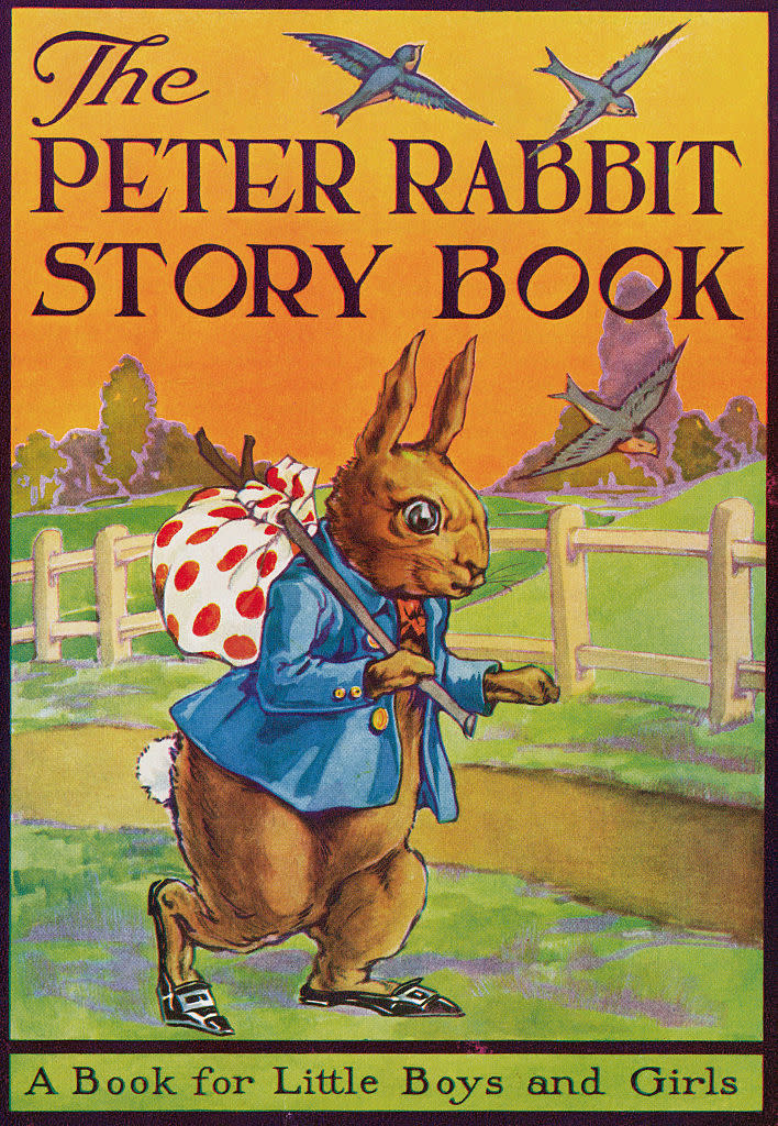 Cover of "The Peter Rabbit Story Book" featuring an illustrated rabbit in clothes with a bird overhead