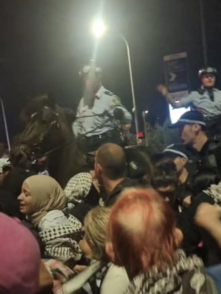 Mounted police were seen pushing the crowd with horses bodies as protesters yelled and screamed. Photo: Twitter
