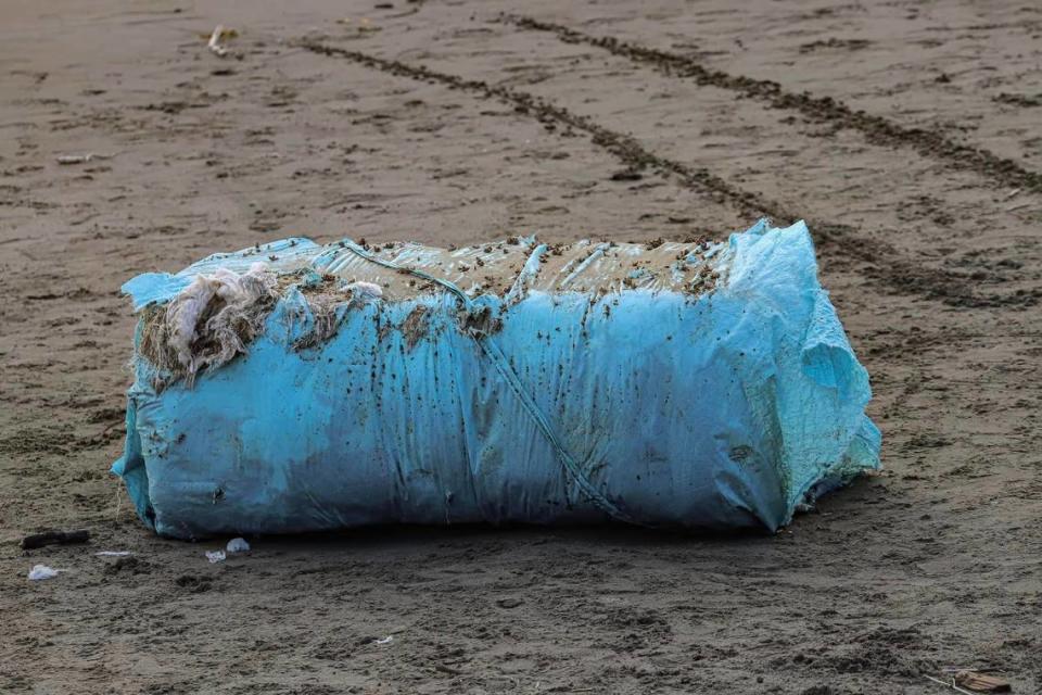 Bales of cotton wrapped in blue plastic washed up on San Luis Obispo County shoes on Sunday, March 3, 2024, including at elephant sea beaches near San Simeon.