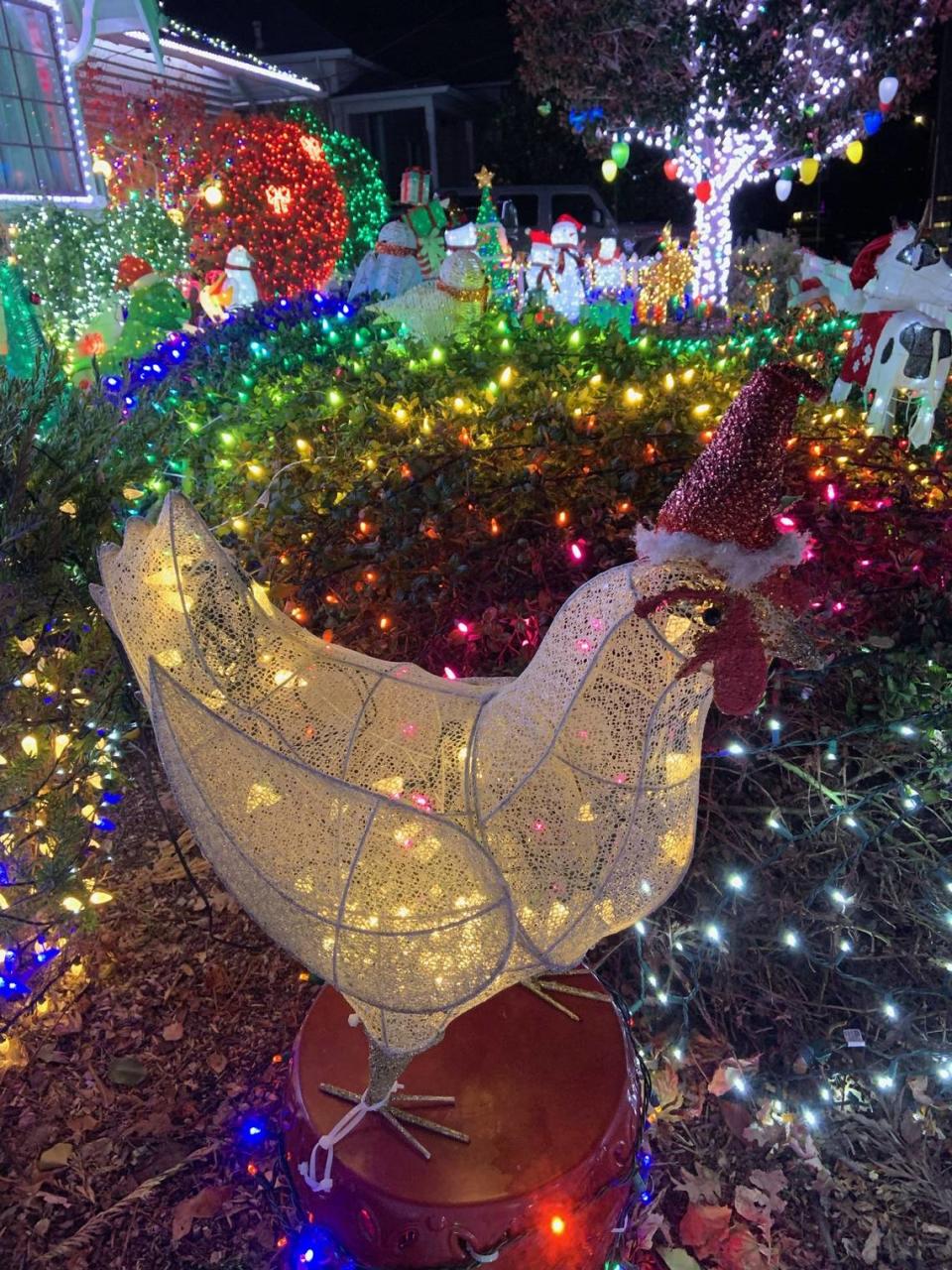 For the 10th year, Wayne and Leslie Terry have decorated their home at 1902 Chorro St. in San Luis Obispo with lights synchronized to festive Christmas music.