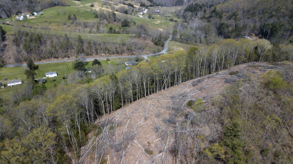 FILE - This May 3, 2018, file photo, shows a section of downed trees that sit atop a ridge near homes along the route of the proposed Mountain Valley pipeline in Lindside, W.Va. A Virginia-based legal group is asking the U.S. Supreme Court to end what it says has become an abuse of eminent domain by companies that build natural-gas pipelines. (AP Photo/Steve Helber)