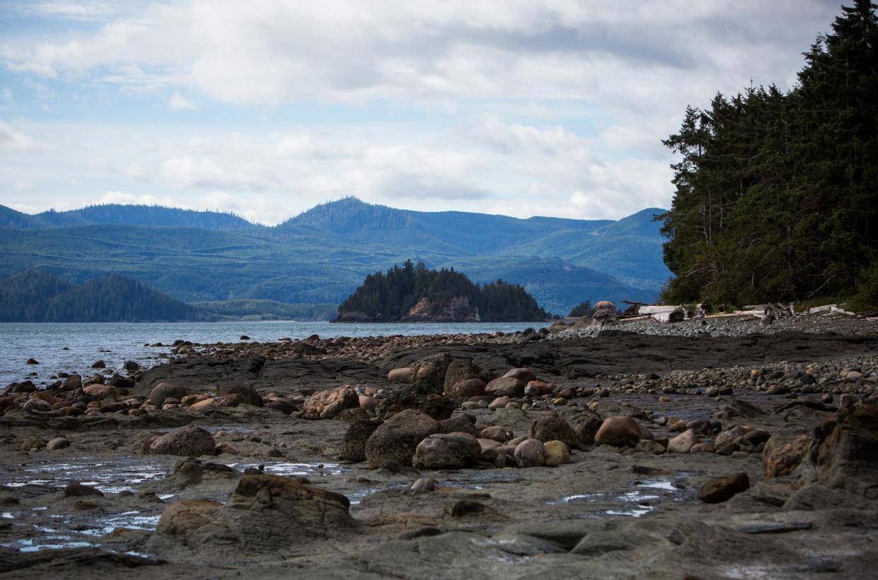 <span>The Haida have long been at the forefront of the battle for recognition of their inherent rights to the 200 islands off the north-west coast of British Columbia.</span><span>Photograph: Ben Nelms/Bloomberg via Getty Images</span>