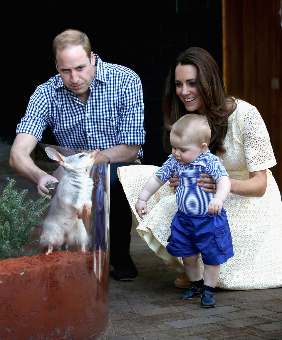 <p>Beim ersten Übersee-Auftritt des königlichen Paares mit ihrem Sohn wurde Prinz George einem Bilby vorgestellt, der ebenfalls auf George getauft wurde. Für das entzückende Treffen mit seinem Namensvetter trug der kleine Royal ein gestreiftes Hemd und passende Shorts von Rachel Riley 44 €). [Foto: Getty] </p>