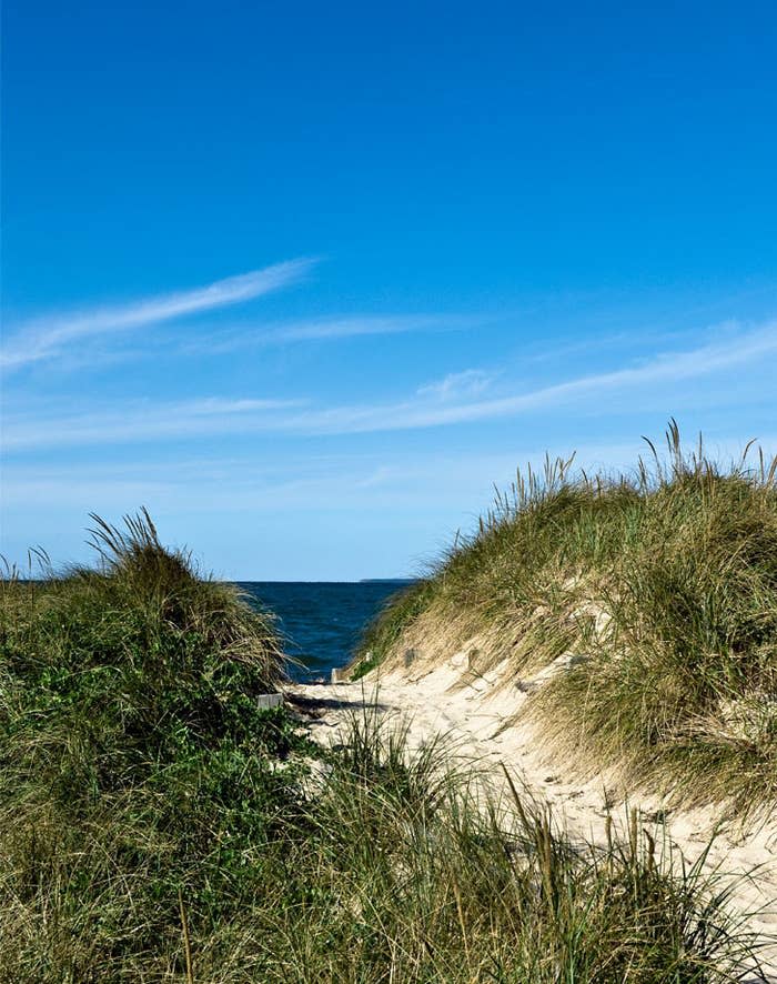 A pathway to a beach.