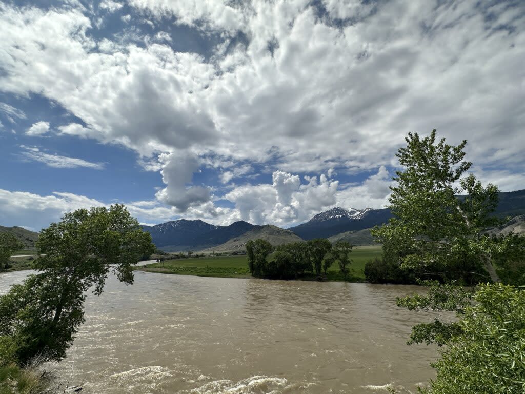 The Yellowstone River flows north of Gardiner, Montana, in an area where bison migrated to during the hard winter of 2022-23.