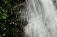 And then there were the impatiens – little pink, fuchsia and white flowers that grow on wet rock. Whole beds, small clumps, and lone sentinels bending and twisting but holding their own under waterfalls. The sun had pushed its way through the thick blanket of grey and briefly spotlighted a moss here, a fern there. Tucking two cameras and one pair of binoculars under my new rain-jacket, I jumped out and took in a lungful of fresh, drizzly forest air. <br><br><p><strong><br>Writer, traveler and photographer ARATI RAO is moved by music, verse and trees, especially those sprawling giants of the Ficus variety. She's also passionately fond of elephants. Explore more of her work at her website, <a href="http://www.aratirao.com/" rel="nofollow noopener" target="_blank" data-ylk="slk:www.aratirao.com;elm:context_link;itc:0;sec:content-canvas" class="link ">www.aratirao.com</a></strong></p>