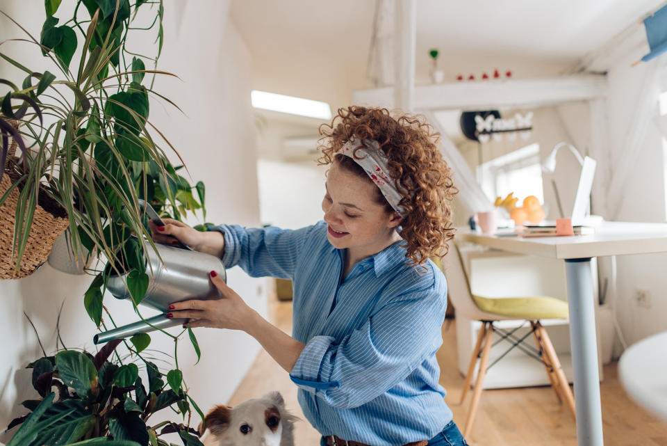 If you can't go outside, bring the outdoors in with these affordable delivery services for indoor plants. (Photo: RgStudio via Getty Images)