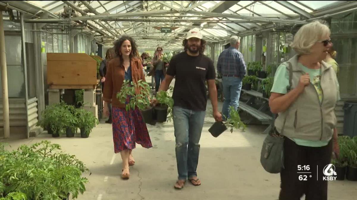 Cal Poly Tomato Spectacular plant sale kicks off Friday