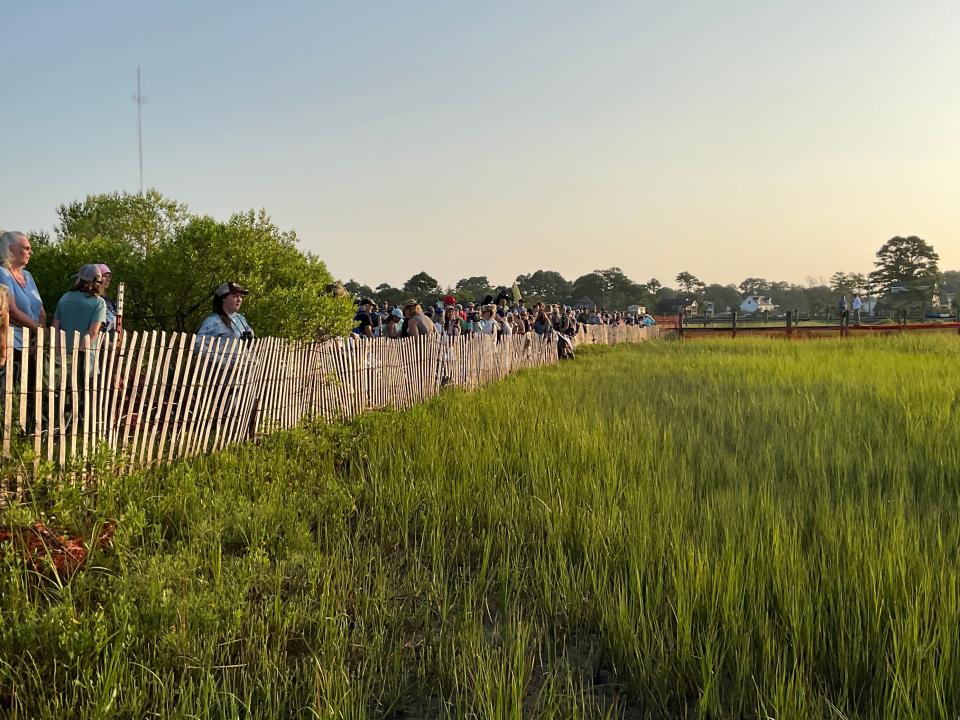 Fans gather in Chincoteague for the 2023 Pony Swim.