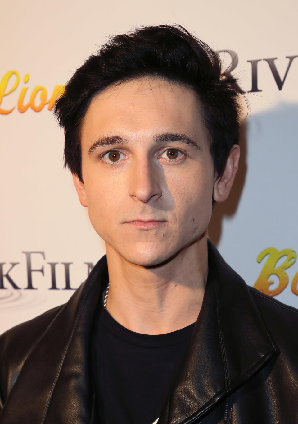 HOLLYWOOD, CA - JANUARY 09:  Actor Mitchel Musso attends the premiere of 