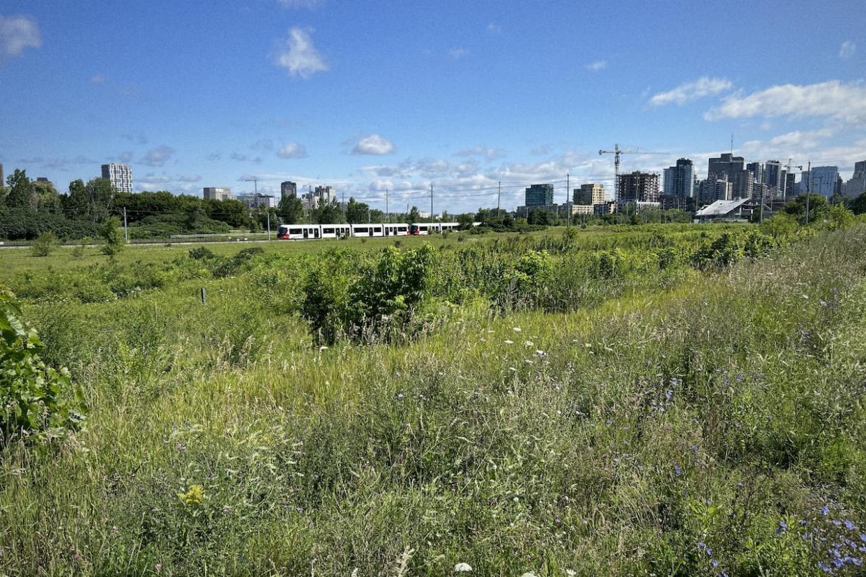 This is the land north of Albert Street, between City Centre Avenue and Preston Street, where a new arena for the Ottawa Senators has been proposed. It's just west of the Pimisi LRT station.  (Guy Quenneville/CBC - image credit)