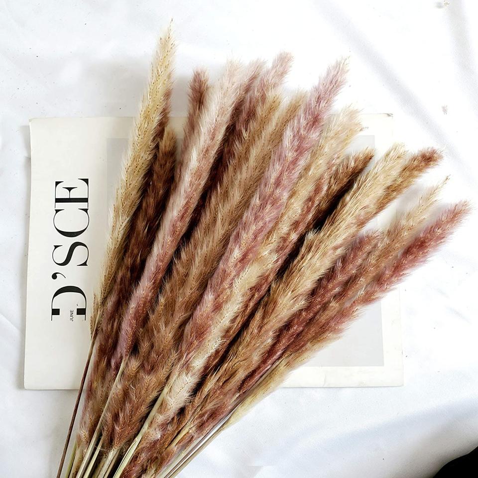 Natural Dried Pampas Grass (Photo via Amazon)