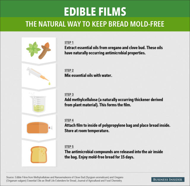 Mold on Bread: Here is What You Need to Know - Clean Water Partners