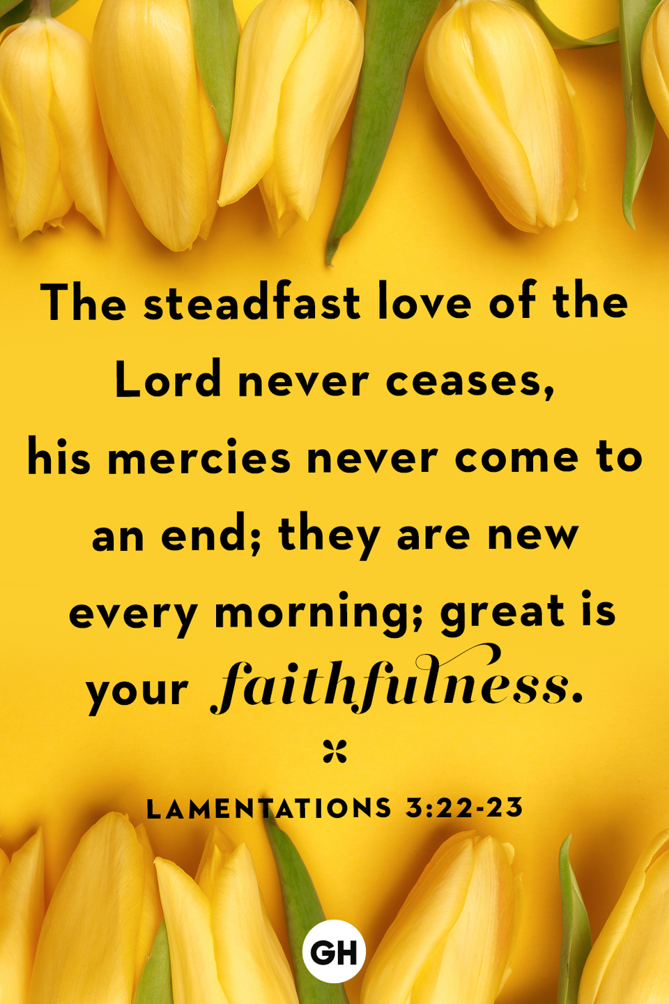 3) Lamentations 3:22-23