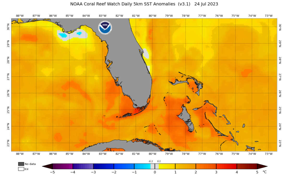 101.1 degrees? Water temperatures off Florida Keys among hottest in the