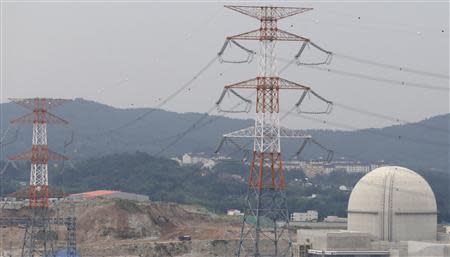 The new Shin Kori No. 4 reactor of state-run utility Korea Electric Power Corp (KEPCO) is seen in Ulsan, about 410 km (255 miles) southeast of Seoul, September 3, 2013. REUTERS/Lee Jae-Won