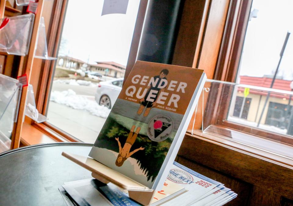 File photo of the graphic novel 'Gender Queer.'