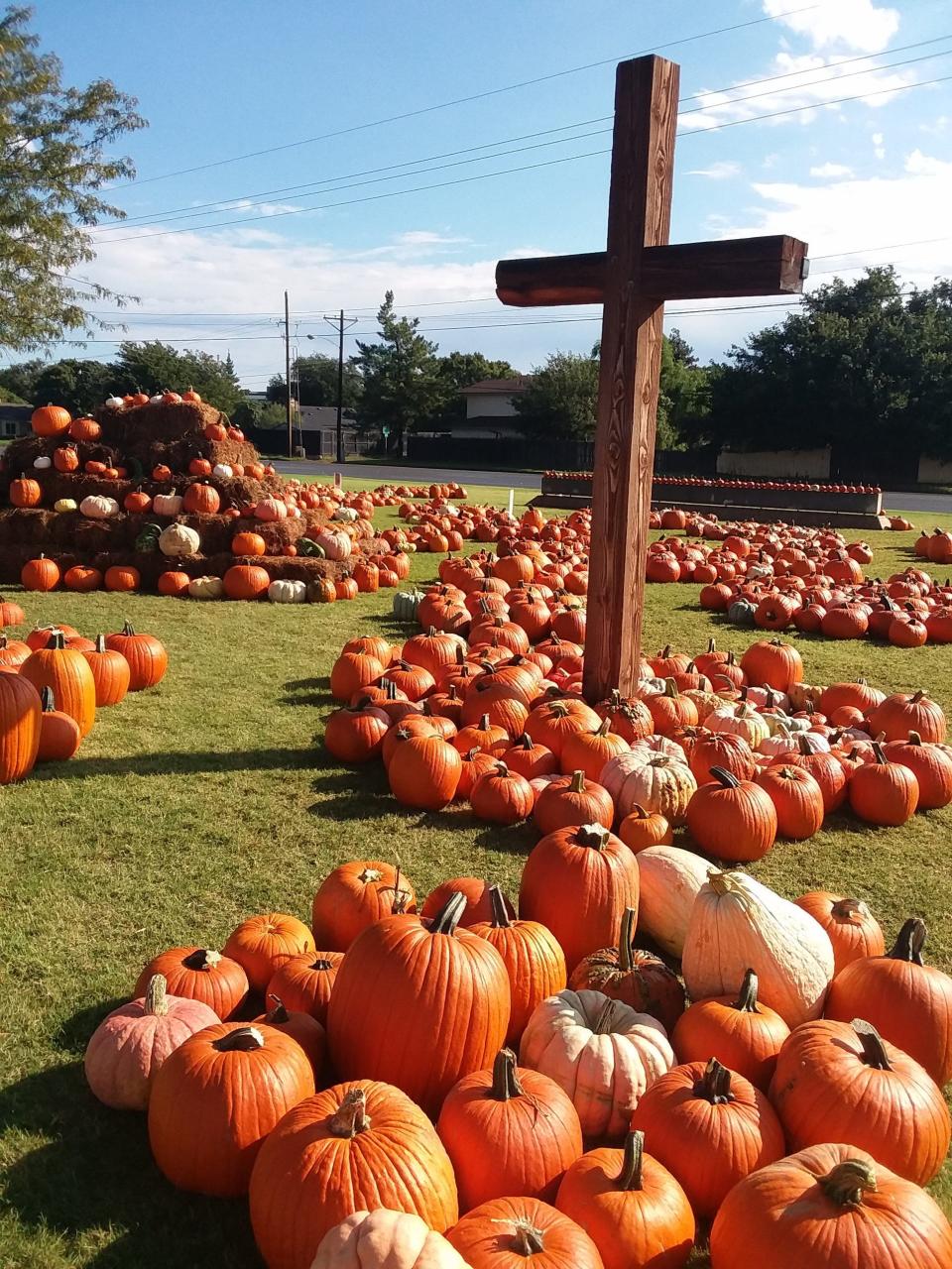 Thousands of pumpkins are expected for this year's 21st Annual Pumpkin Patch at First Cumberland Presbyterian Church, 7702 Indiana Ave.