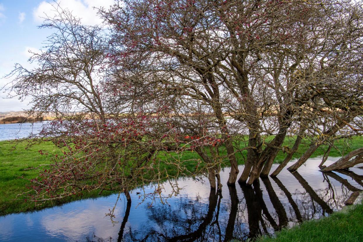 <span>Flooded fields on Iford Estate farm in East Sussex, one of five farms selected as a pilot project for the biodiversity net gain scheme.</span><span>Photograph: Jill Mead/The Guardian</span>