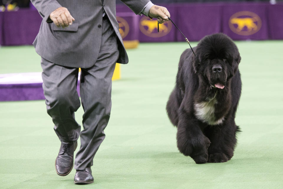 (AP Photo/Mary Altaffer)