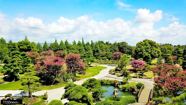 成美文化園～台版兼六園百日紅齊放。（圖：頂新和德文教基金會提供）