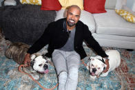 <p>Talk about animal magnetism! The handsome <em>S.W.A.T.</em> star took his pups to visit Hallmark’s “Home & Family” at Universal Studios Hollywood on Tuesday. (Photo: David Livingston/Getty Images) </p>