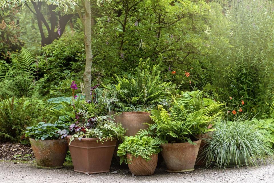 container gardening ideas