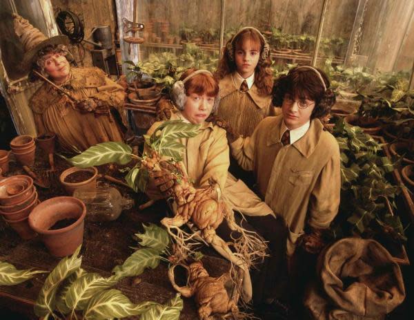 Miriam Margolyes, Rupert Grint, Emma Watson y Daniel Radcliffe (Imagen: Warner Bros.)