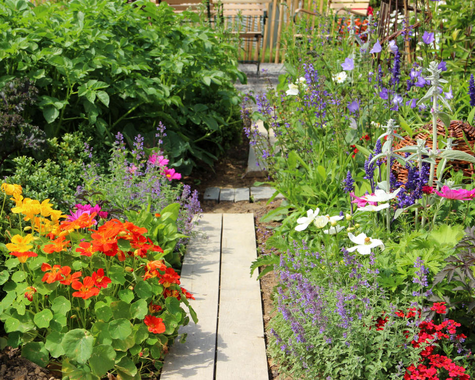 <p> Finally, a garden can – and should – include flowers and all manner of colorful garden plants – they're not just for decorative backyard spaces. Get some wildflower seeds for a wildflower patch or just dot some of your favorite flowers in between the veggie beds. They'll add color and attractive pollinators.  </p>