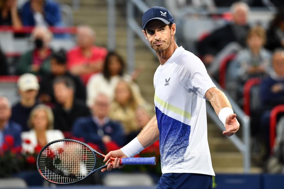 Murray lost in straight sets to Taylor Fritz   (Getty Images)