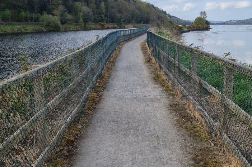 Carlingford Greenway pictured by JohnRoss MacMathúna last Wednesday with grass verge looking scorched