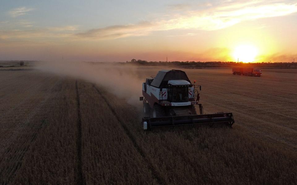 England's wheat harvest was the second worst on record