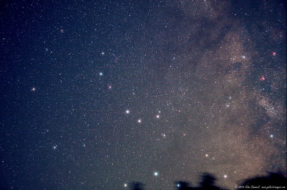 The stars of Sagittarius shine in this astrophotographer photo.