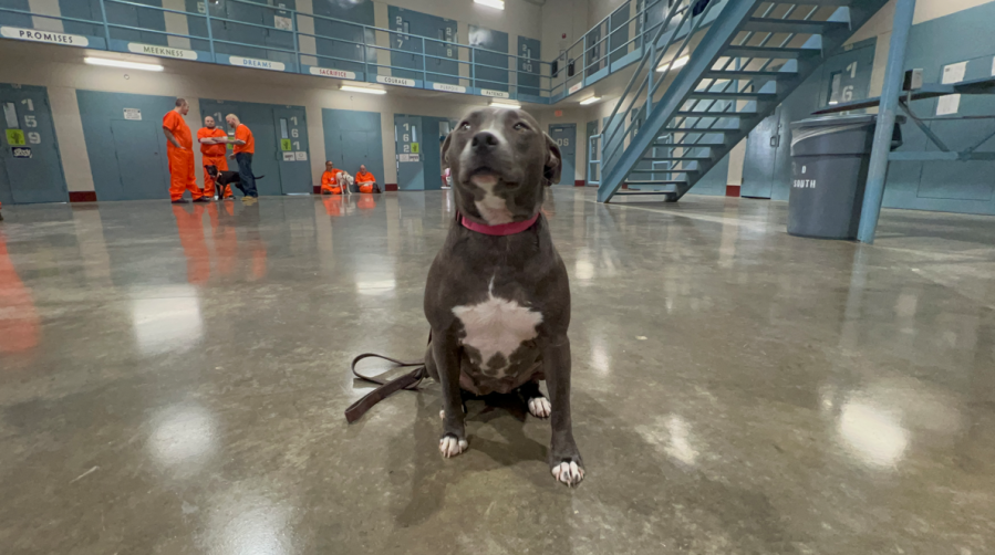 Pen Pals program at Allen Gamble Correctional Center. Image courtesy Oklahoma Department of Corrections.