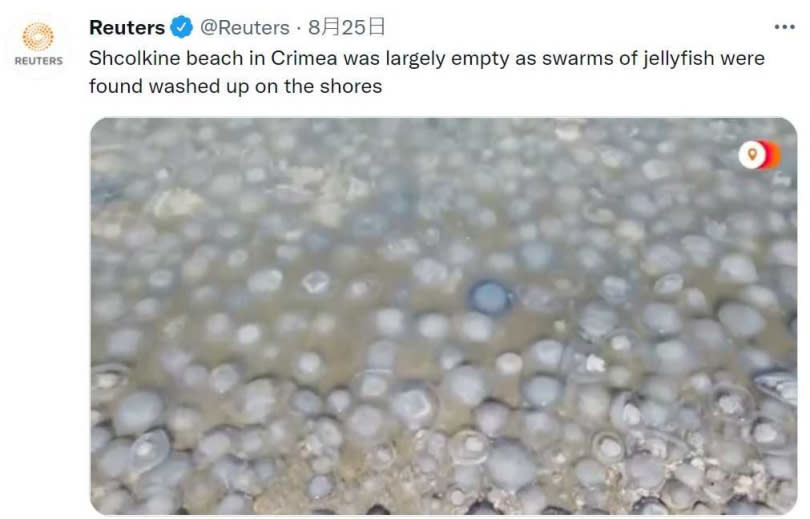 大量水母被沖刷上克里米亞半島海岸。（圖／截自路透社推特）