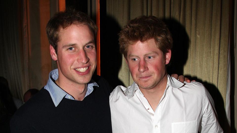 william and harry at party 