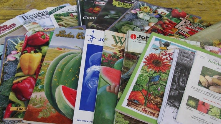 Browsing seed catalogs in winter helps pre-plan your vegetable gardens.