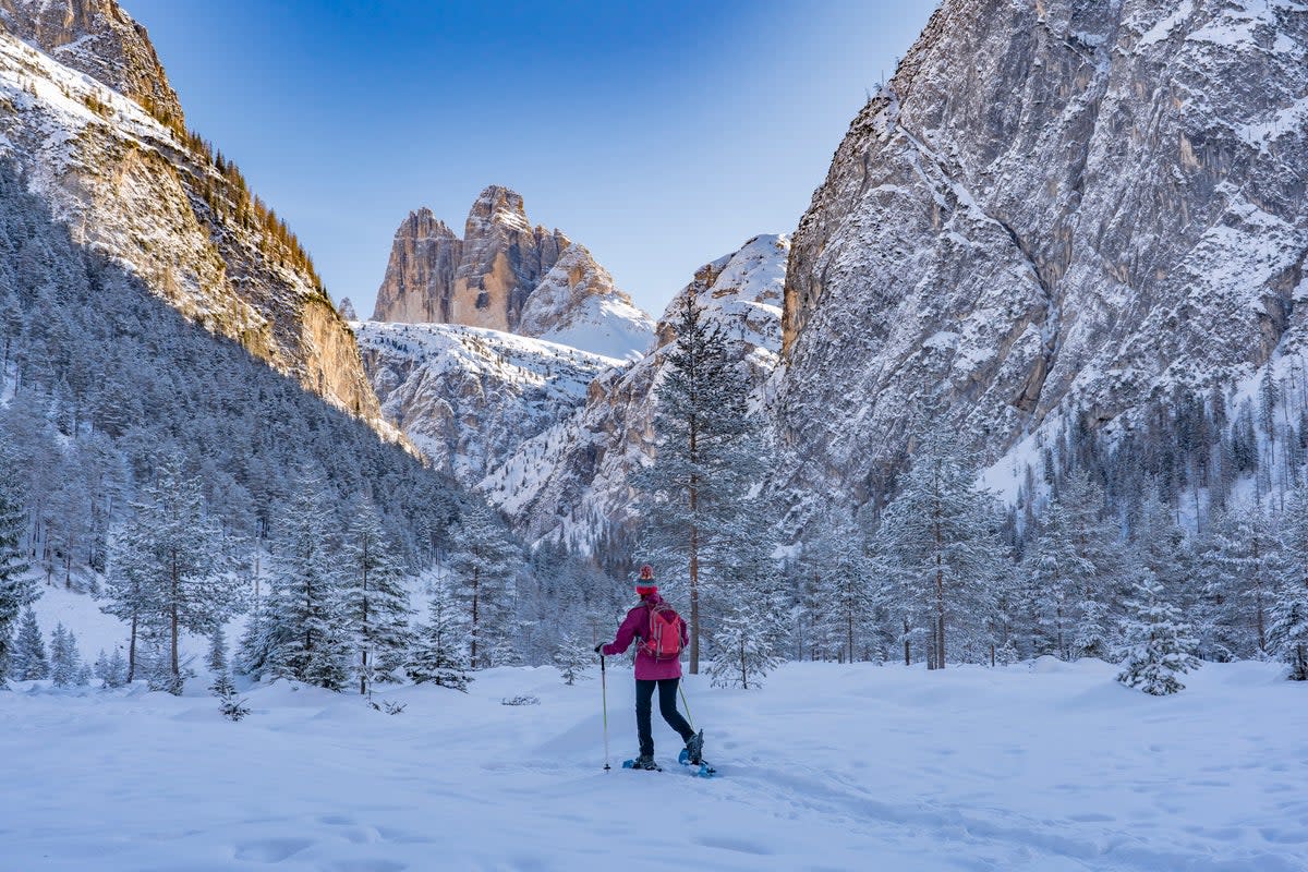 Go off-piste on a snowshoeing adventure in Italy’s dramatic Dolomites   (Getty Images/iStockphoto)