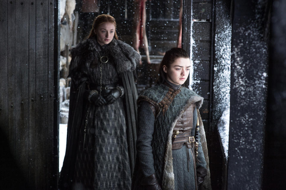 Sansa and Arya are struggling to see eye-to-eye back at Winterfell (HBO/Sky)