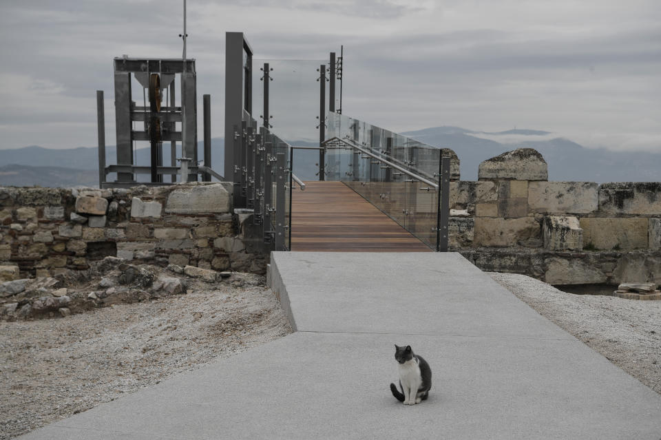 A cat stands in front of a new elevator, following the restoration of the Acropolis archaeological site in order to become fully accessible to people with disabilities and mobility issues, during the International Day of Persons with Disabilities, in Athens, on Thursday, Dec. 3, 2020. (Louisa Gouliamaki/Pool via AP)