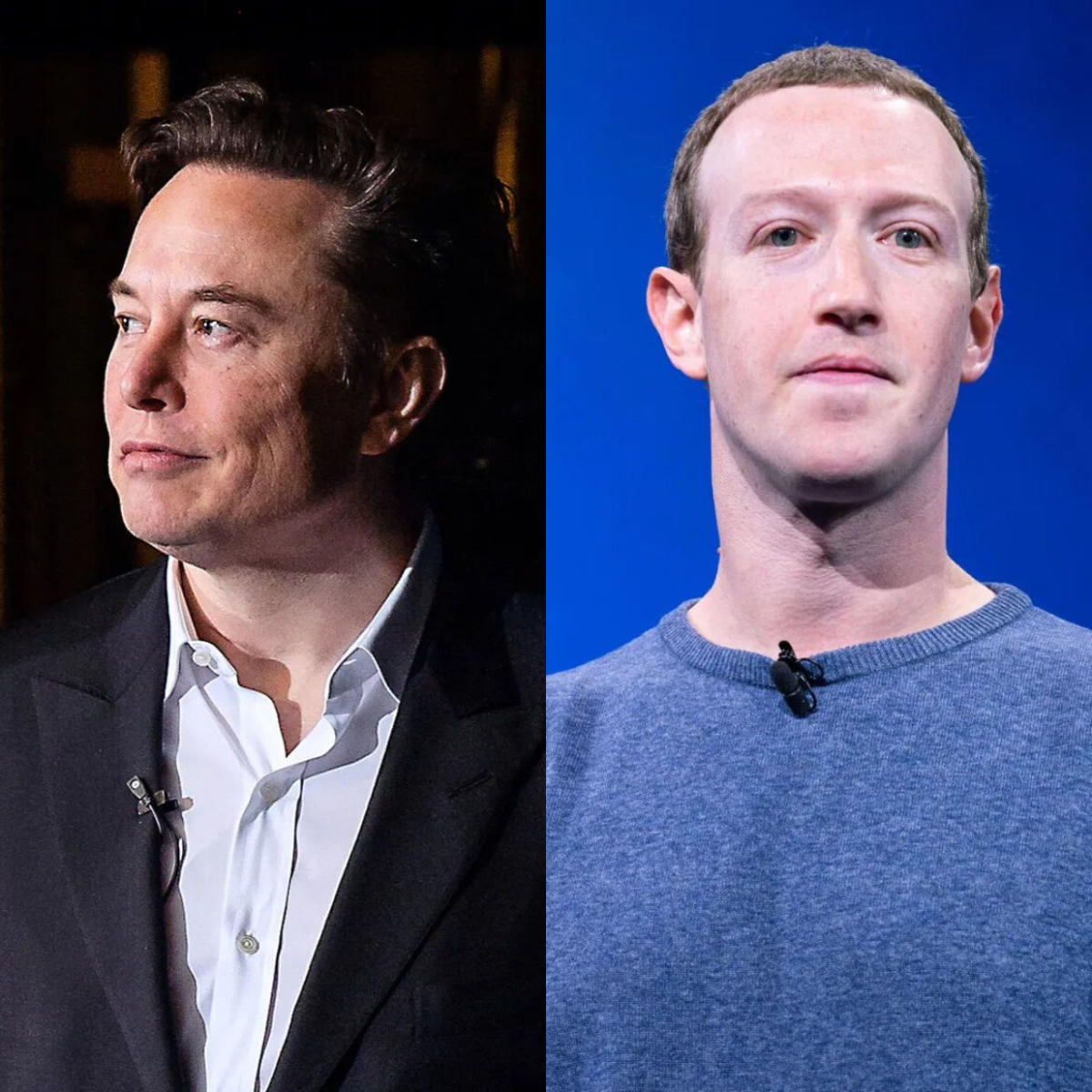 31 of the Funniest Responses to the Potential Mark Zuckerberg/Elon Musk  Cage Fight