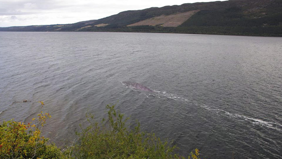 A tourist has sparked debate online over the existence of the Loch Ness monster after finding mysterious photos from a holiday to Scotland.