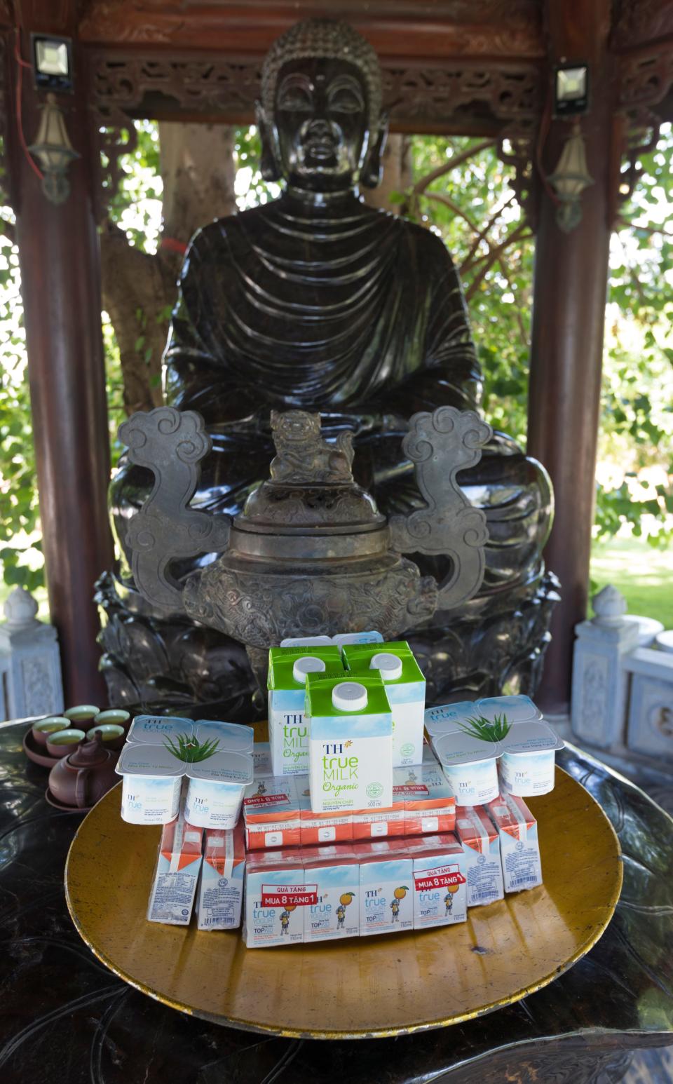 Offerings of TH Milk's products are made to Buddha at TH Milk's operations in Nghia Son, Vietnam.